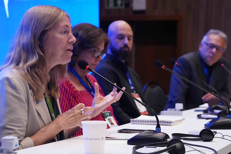 Painel sobre financiamento de políticas ambientais no Dia do Pantanal, na COP15