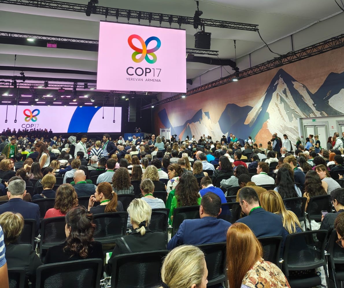 abertura da COP17 em Yerevan