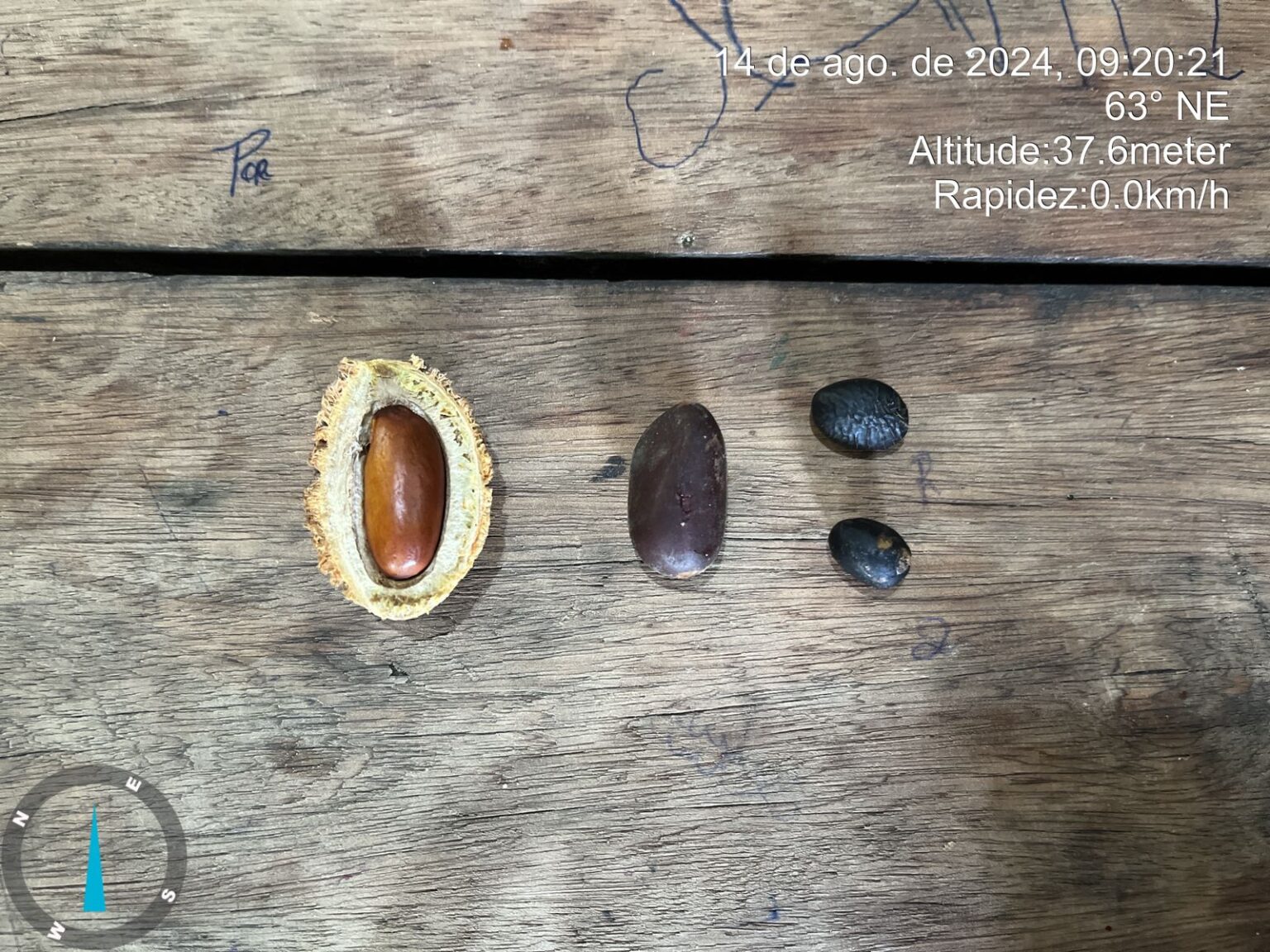 Projeto REFLORA - Recuperação Ecológica e Implantação de Sistemas ...