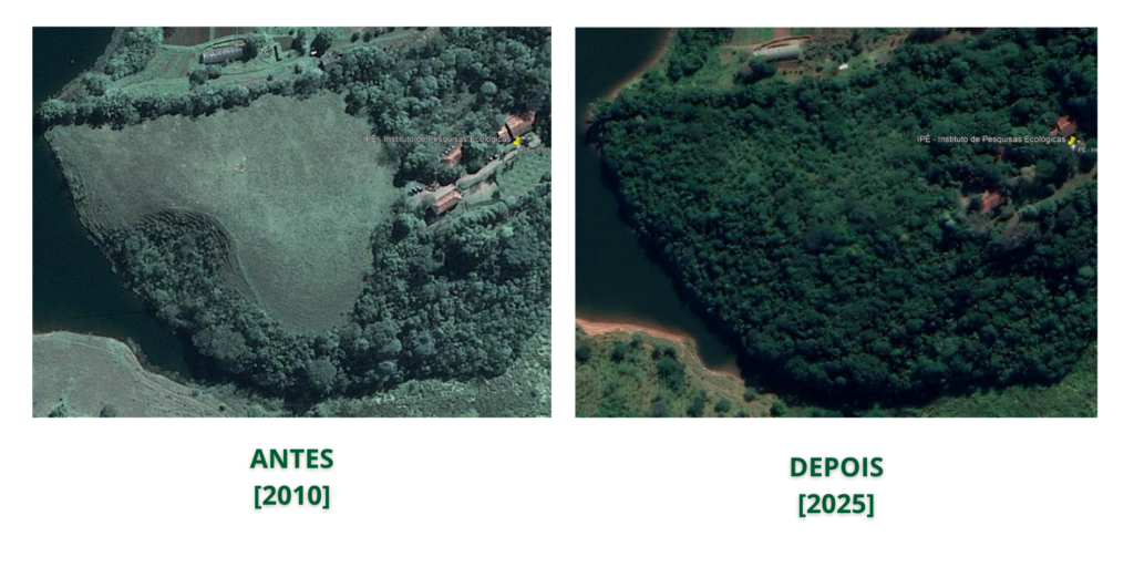 Área de Restauração Florestal do IPÊ, trilha realizada durante o IPÊ de Portas Abertas