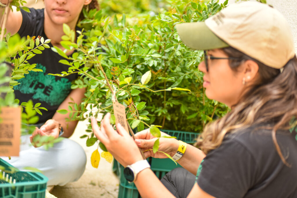 IPÊ participa do Ecoswim com doação de mudas de espécies nativas da Mata Atlântica