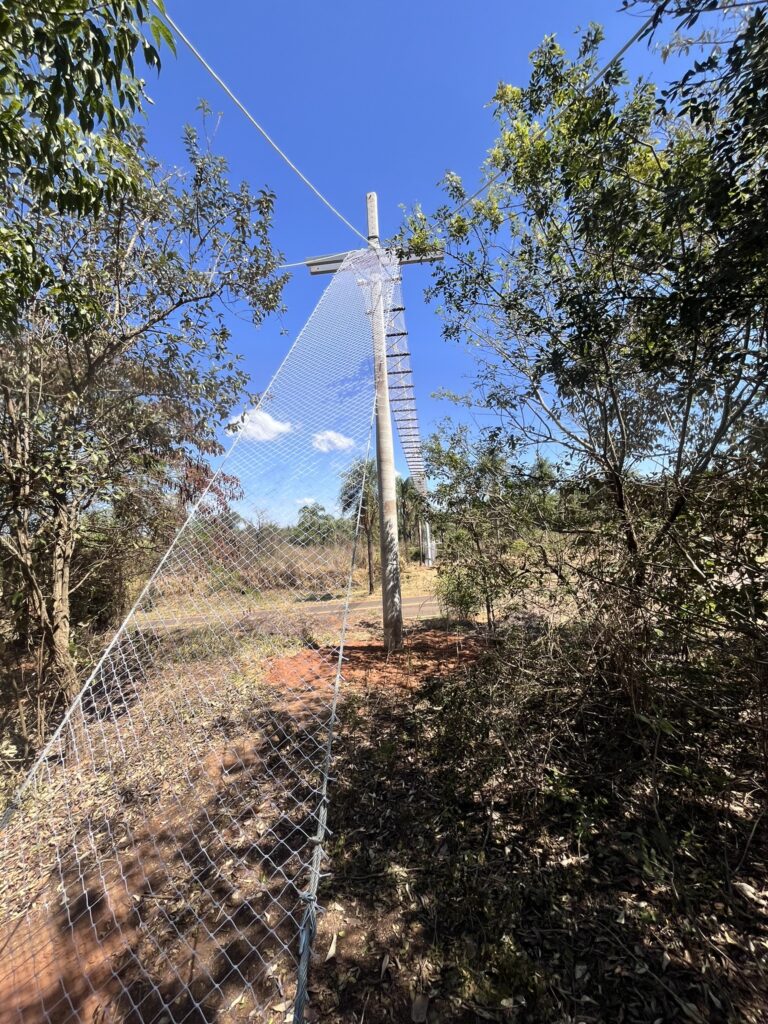 Detalhe da ponte de dossel para passagem de fauna 