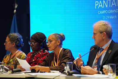 COp15 Espécies Migratórias