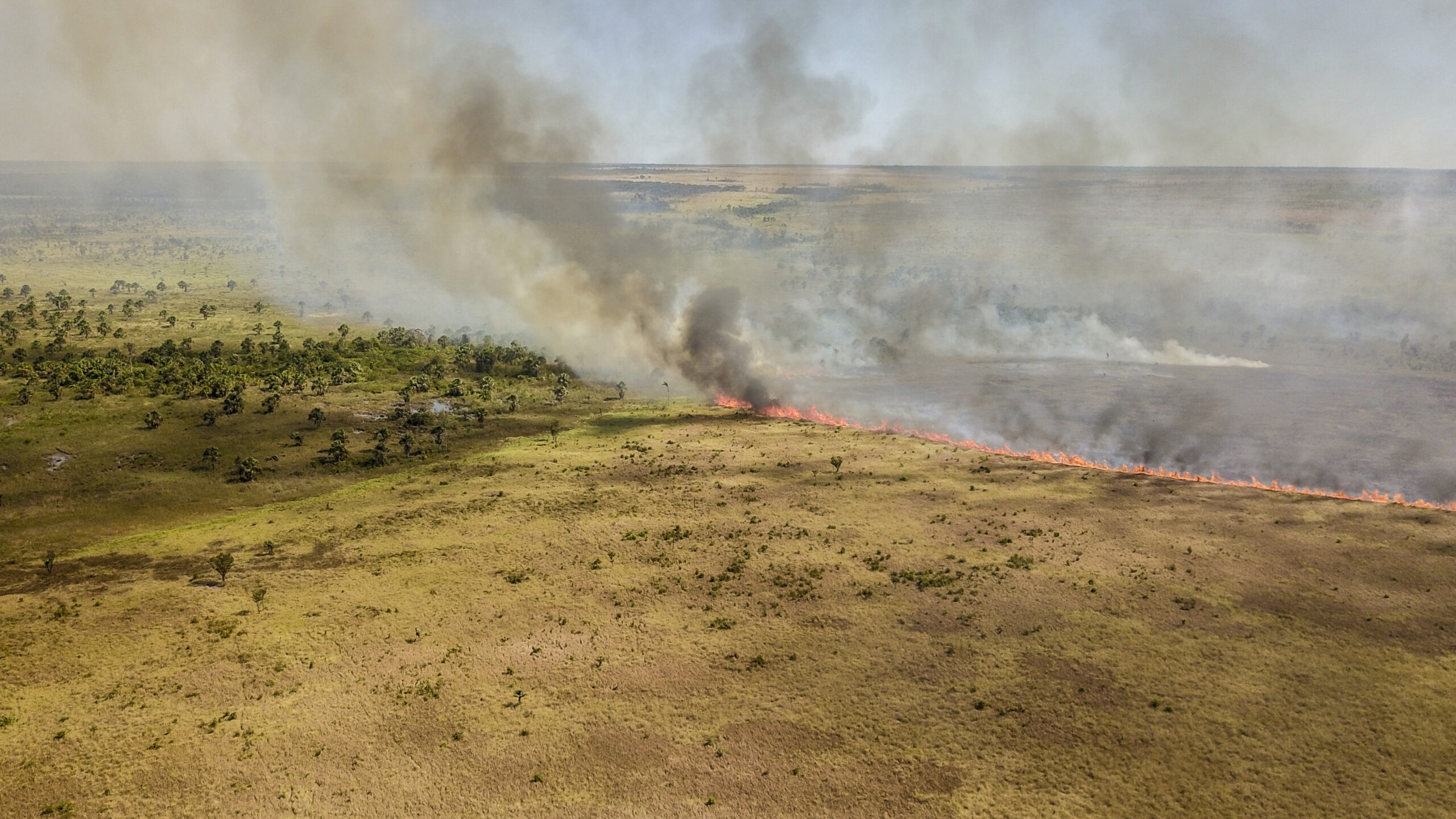 Foto: Laurie Hedges - incêndio na Amazônia.