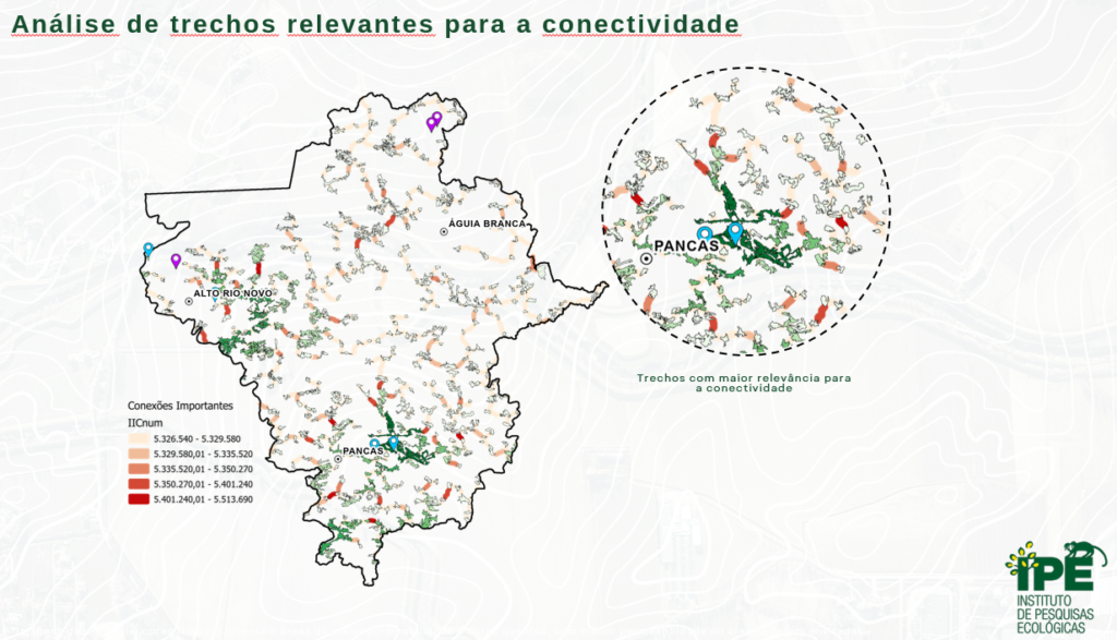 Análise da importância para as conexões dos fragmentos de maior relevância para o corredor ecológico