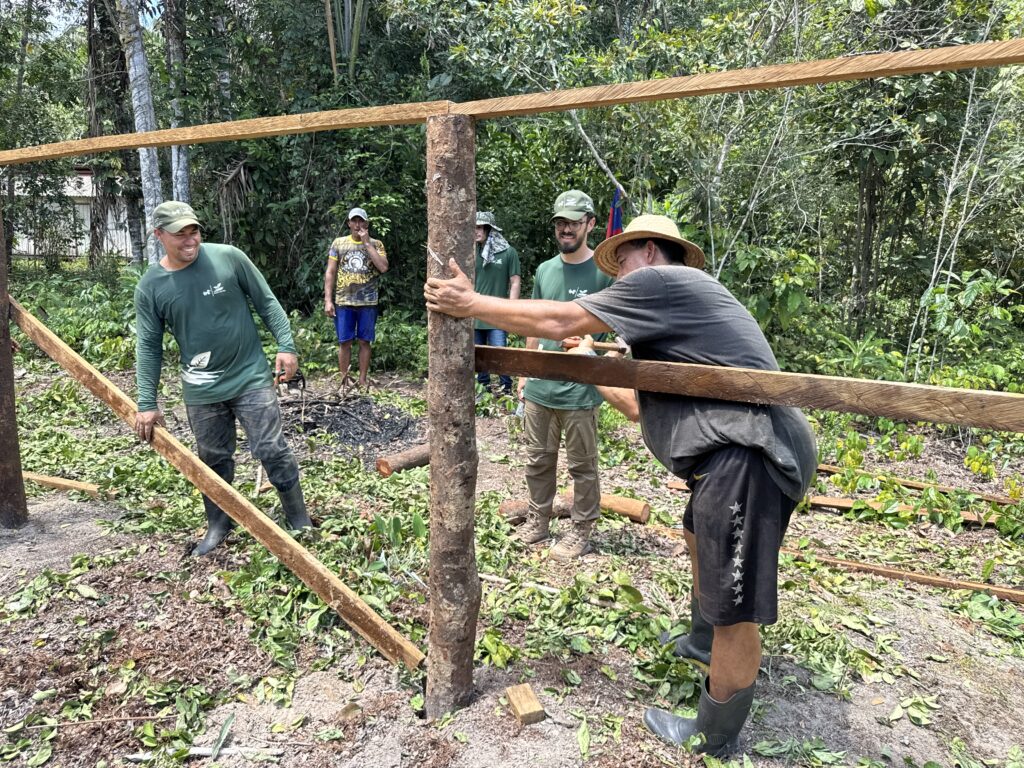 viveiros de mudas de árvores nativas da amazonia na rds puranga conquista pelo projeto reflora