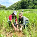 WhatsApp Image 2025-03-25 at 15.46.06