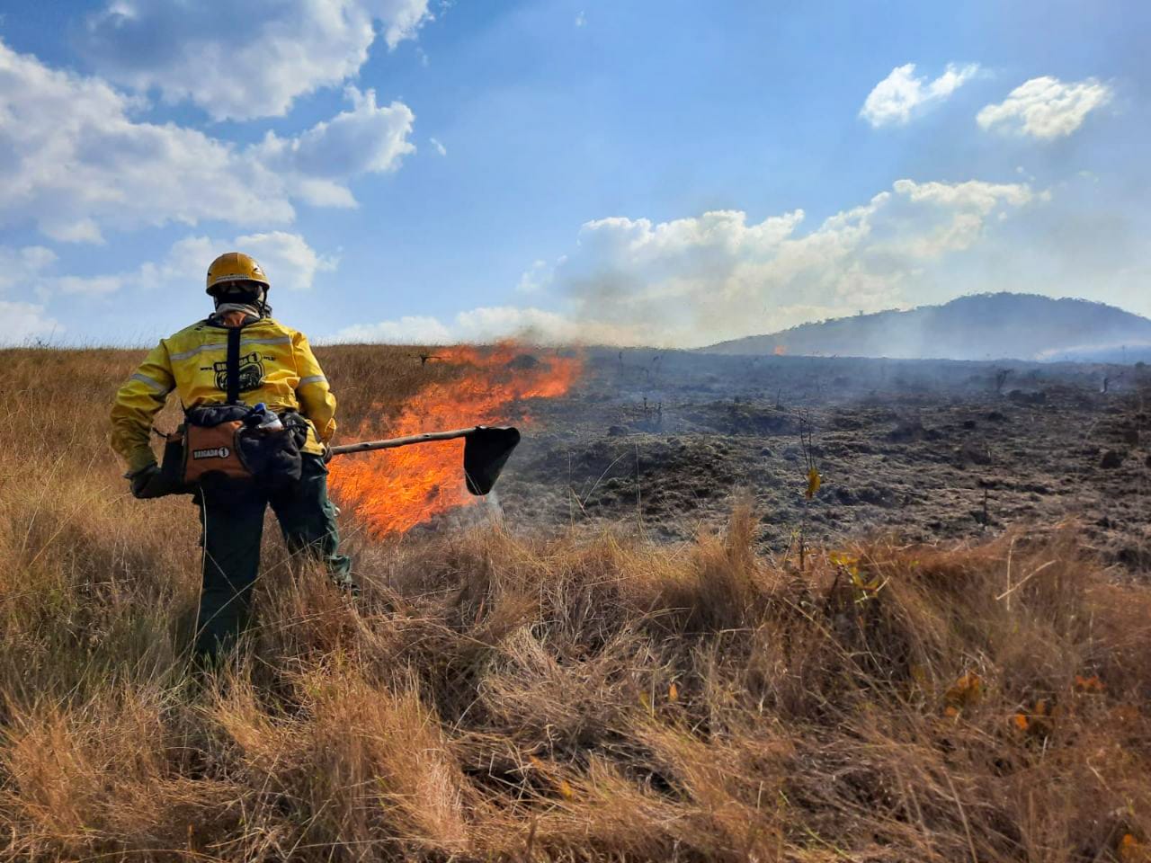 foto de brigadista combatendo fogo florestal