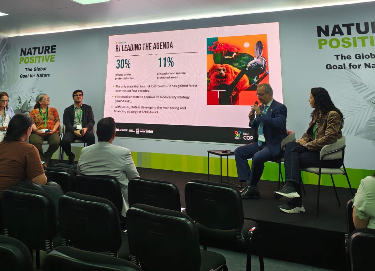 Apresentação dos Estados na COP17 sobre EPAEBs
