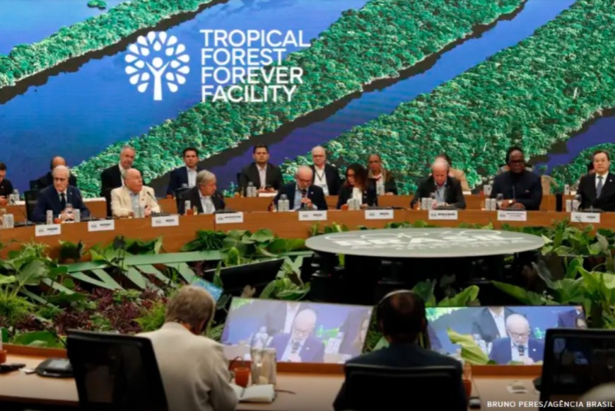 COP30 e a proteção das florestas. Qual é a promessa do TFFF?