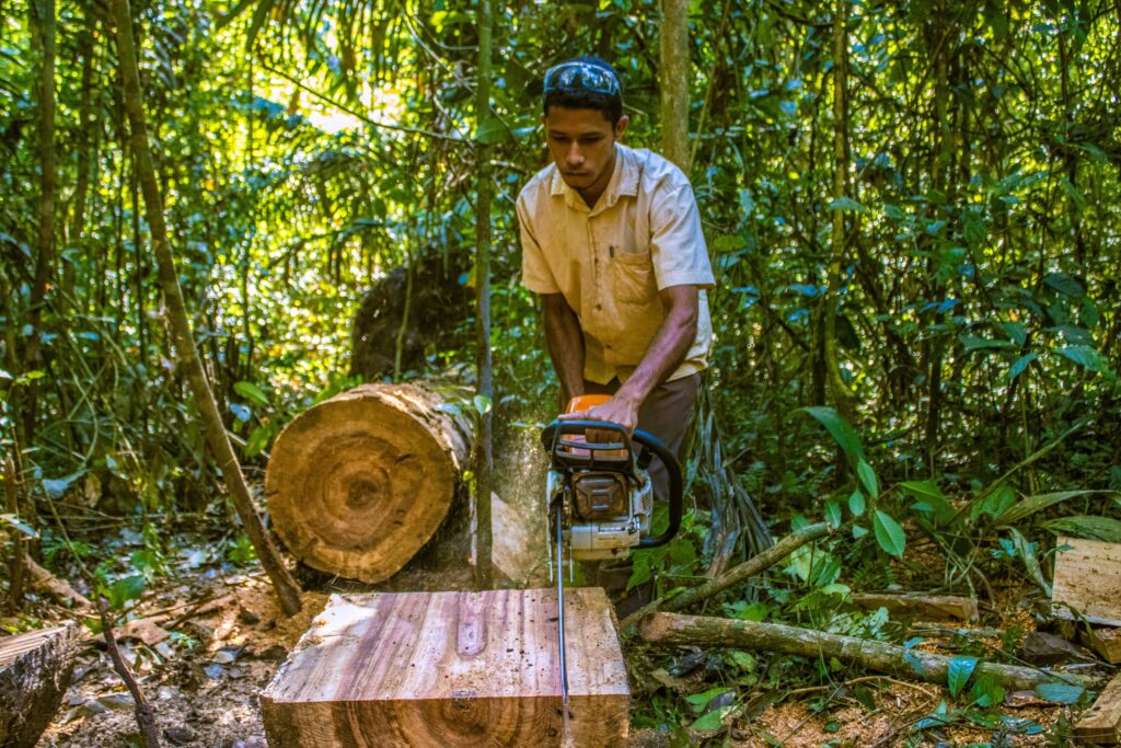 Artesão prepara madeira para criação de peças no Ateliê da Floresta, na Reserva Extrativista Chico Mendes, em Xapuri, Acre.