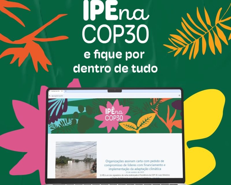 WhatsApp Image 2025-10-31 at 09.37.20