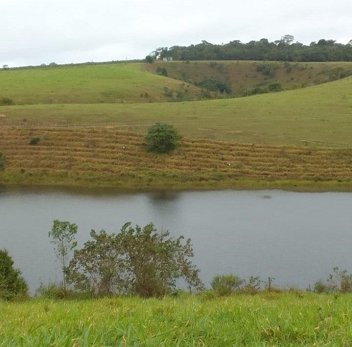 Área próxima à curso d`'agua que recebeu mudas de árvores nativas das Mata Atlântica