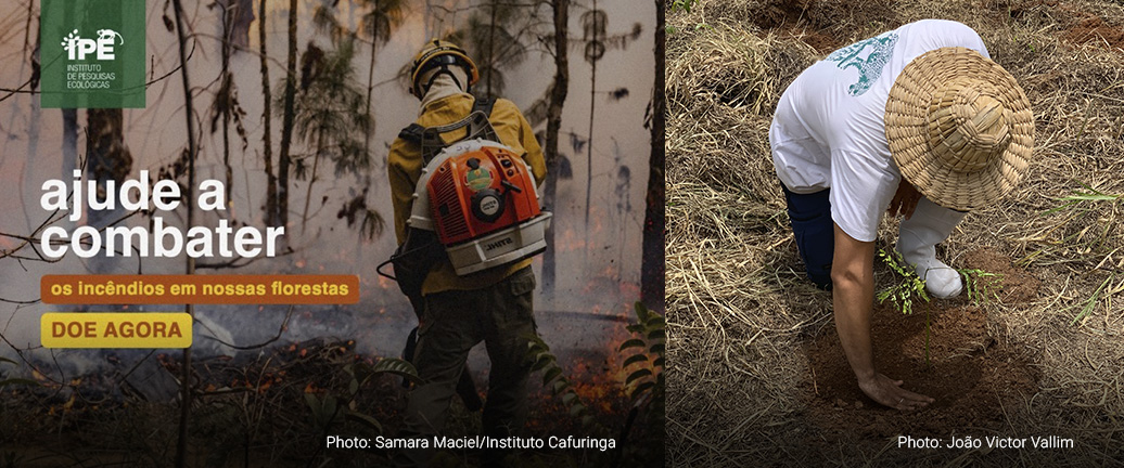 VOLUNTEERING FOR BIODIVERSITY CONSERVATION