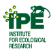 Logo Ipê