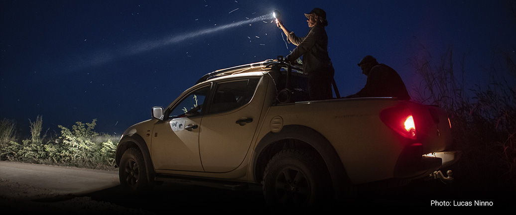 LTCI - LOWLAND TAPIR CONSERVATION INITIATIVE