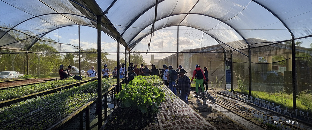 INICIATIVA DE TREINAMENTO E FORMAÇÃO DE LIDERANÇAS AMBIENTAIS
