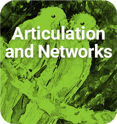ARTICULATION AND NETWORKS