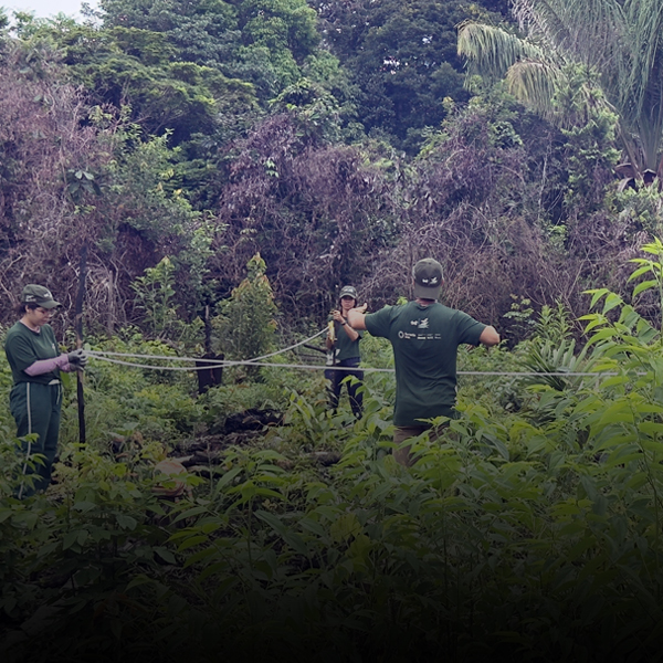 25 years of work in the Lower Rio Negro