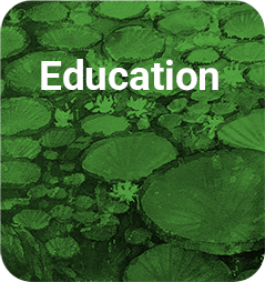 EDUCATION