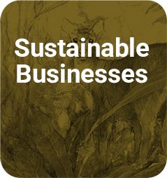 SUSTAINABLE BUSINESSES