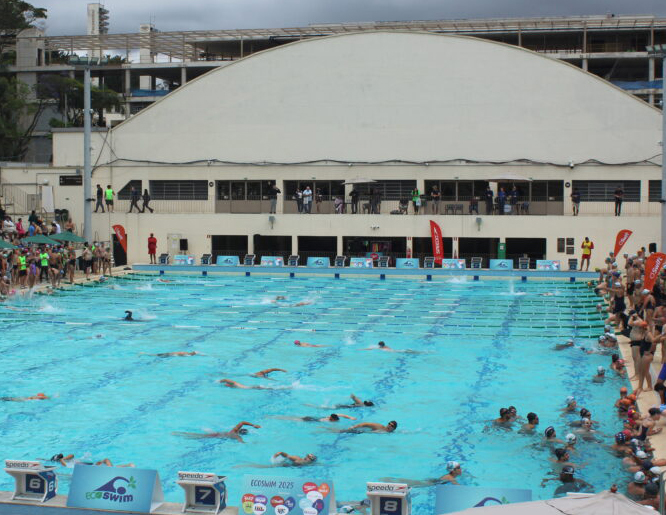 Ecoswim: Record Number of Participants