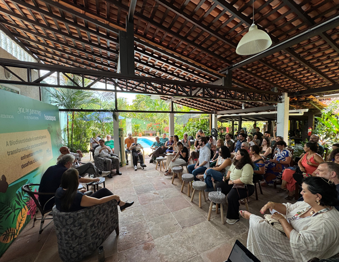Partnership with the Sol de Janeiro Foundation