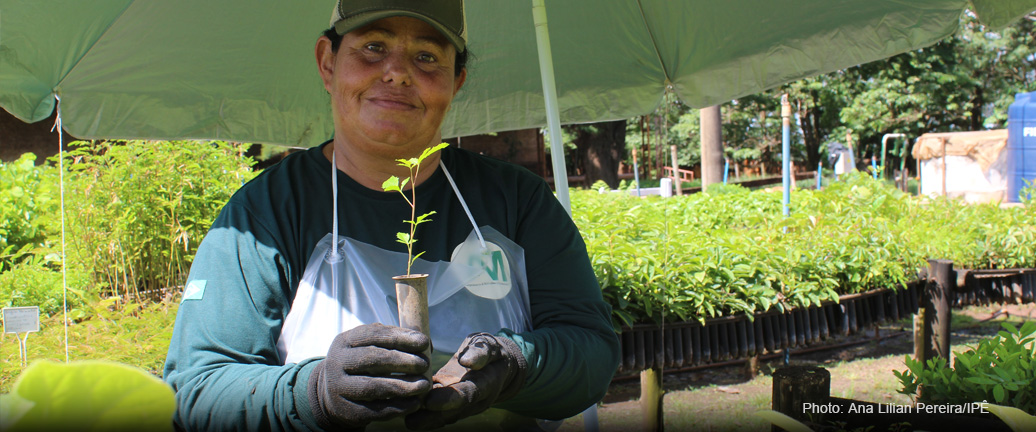 COMMUNITY NURSERIES