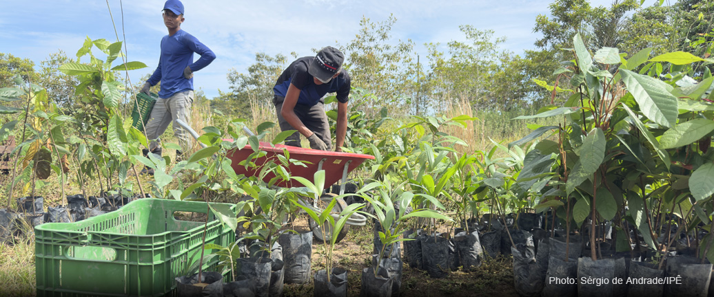 REFLORA – ECOLOGICAL RECOVERY AND IMPLEMENTATION OF MULTIFUNCTIONAL AGROFORESTRY SYSTEMS