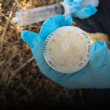 DNA Sequencing