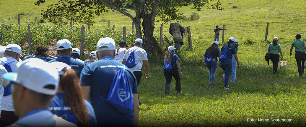 VIVEIROS COMUNITÁRIOS